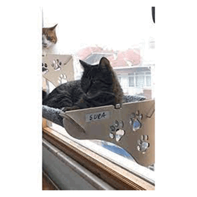 Vantuzlu Cama Asılan Kedi Yatağı