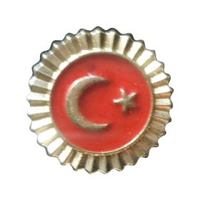 Vatan 30 Adet Türk Bayraklı Rozet