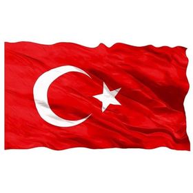 Vatan 400x600 cm Bayrak