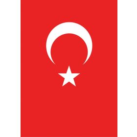 Vatan 50x75 cm Bayrak