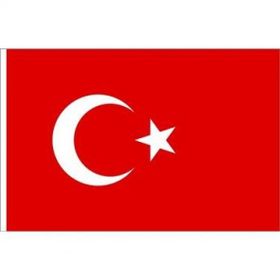 Vatan 600x900 Bayrak