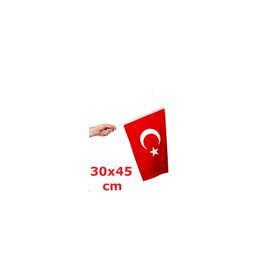 Vatan Bayrak 30x45 cm Polyester Kumaş Türk Bayrağı
