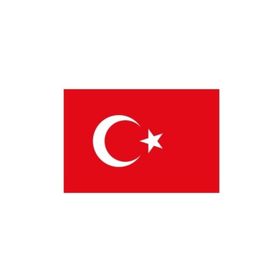 Vatan Bayrak 30x45 cm Polyester Kumaş Türk Bayrağı