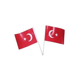 Vatan Bayrak 50'li Battal Boy Çıtalı Kağıt Türk Bayrağı
