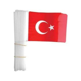 Vatan Küçük Boy Çıtalı Kağıt Türk Bayrağı 100'lü Türk Bayrağı