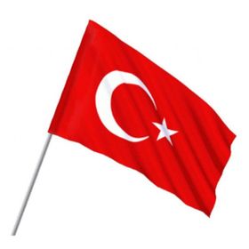 Vatan VT102 30x45 Bayrak
