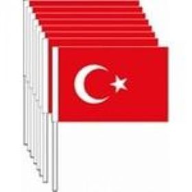 Vatan VT225 20x30 Sopalı Bez Bayrak