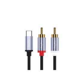 Veggieg 1.5 mt USB Type-C to 2 RCA Ses Kablosu