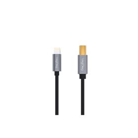 Veggieg iPhone iPad Lightning to Midi USB-B Uyumlu Müzik Enstrüman Kablosu
