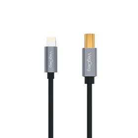 Veggieg iPhone iPad Lightning to Midi USB-B Uyumlu Müzik Enstrüman Kablosu