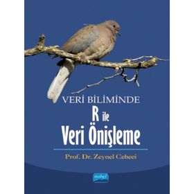Veri Biliminde R ile Veri Önişleme - Nobel Yayınevi
