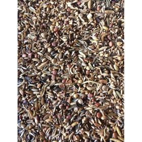 Versele Laga 1 kg Yabani Sağlık Tohumu