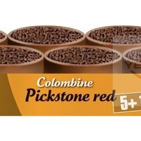 Versele Laga Colombıne Pickstone Red 5+1 6x600 gr Güvercin Mineral Desteği