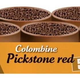 Versele Laga Colombıne Pickstone Red 5+1 6x600 gr Güvercin Mineral Desteği