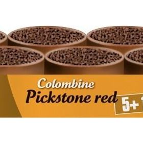 Versele Laga Colombıne Pickstone Red 5+1 6x600 gr Güvercin Mineral Desteği
