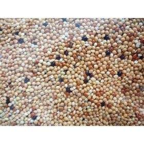 Versele Laga Colombine Pickstone Red 600 gr Güvercinler İçin Mineral Desteği