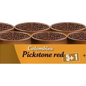 Versele Laga Colpickstone Red 51 6'lı Güvercin Mineral Destek