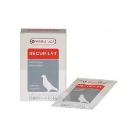 Versele Laga Kondisyon Arttırıcı Elektrolit 240 gr 12'li Güvercin Vitamini