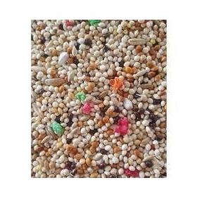 Versele Laga Muhabbet Kuşu Yemi 1 Kg