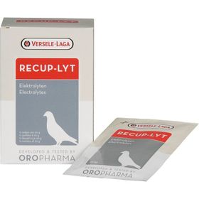 Versele Laga Oropharma Recup-Lyt Yarış Güvercini Elektrolik Desteği