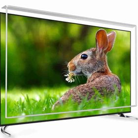 Vestel 40FA8100 Tv Ekran Koruyucu
