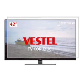 Vestel Vesplus 42'' Ekran Koruyucu Cam