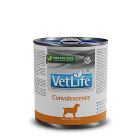 Vet Life Convalescence 300 gr Dog Hasta Köpek Maması