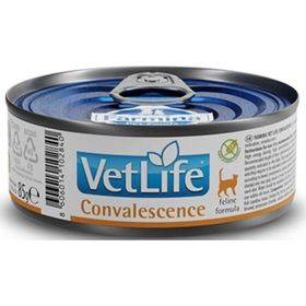 Vet Life Convalescence 85 gr Konserve Kedi Maması