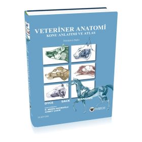 Veteriner Anatomi Konu Anlatımı ve Atlas - Kolektif