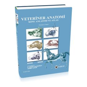 Veteriner Anatomi Konu Anlatımı ve Atlas - Kolektif