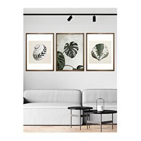 Vetro 21x30 cm Ceviz Design Monstera ve Deniz Kabukları