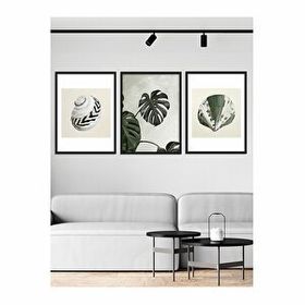 Vetro 40x50 cm Natural Design Monstera ve Deniz Kabukları