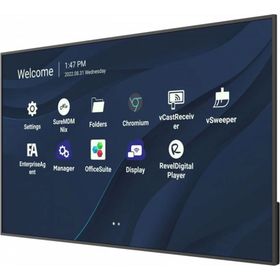 Viewsonic CDE5530 55 inç 6.5ms 4K Monitör
