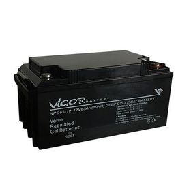 Vigor 65 Ah 12 Volt Solar Jel Akü