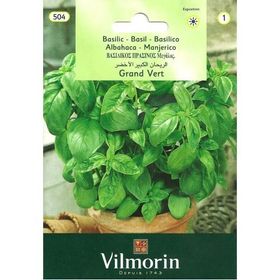 Vilmorin 504 İri Yapraklı Fesleğen Seri-1 Tohumu