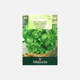 Vilmorin 504 İri Yapraklı Fesleğen Seri-1 Tohumu