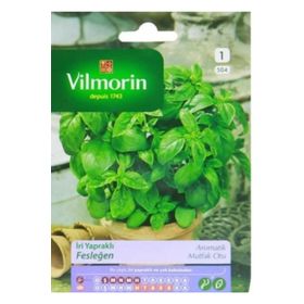 Vilmorin 504 İri Yapraklı Fesleğen Seri-1 Tohumu