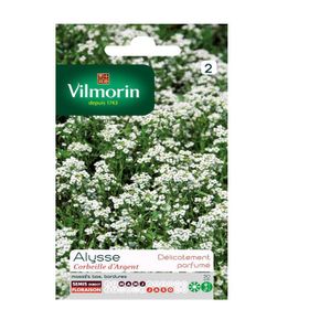 Vilmorin Alisyum Gümüş Sepet Çiçek Tohumu