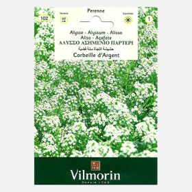 Vilmorin Alisyum Gümüş Sepet Çiçek Tohumu
