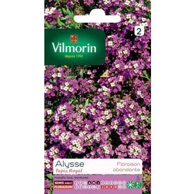 Vilmorin Alisyum Gümüş Sepet Çiçek Tohumu