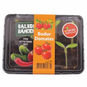 Vilmorin Balkon Bahçem Fidelik Domates