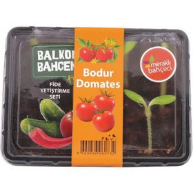 Vilmorin Balkon Bahçem Fidelik Domates