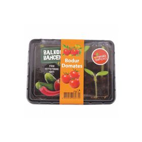 Vilmorin Balkon Bahçem Fidelik Domates