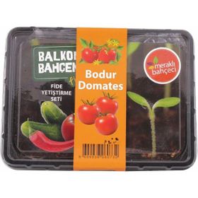Vilmorin Balkon Bahçem Fidelik Domates