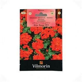Vilmorin Çok Yıllık Kırmızı Sardunya Çiçek Tohumu