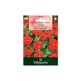 Vilmorin Çok Yıllık Kırmızı Sardunya Çiçek Tohumu