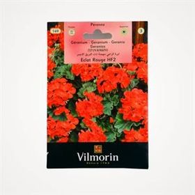 Vilmorin Çok Yıllık Kırmızı Sardunya Çiçek Tohumu