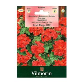 Vilmorin Çok Yıllık Kırmızı Sardunya Çiçek Tohumu