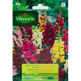 Vilmorin Karışık Renkli Aslanağzı Çiçeği Tohumu