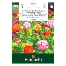 Vilmorin Kirli Hanım Çiçeği Çiçek Tohumu